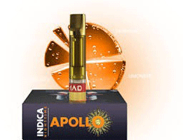 APOLLO