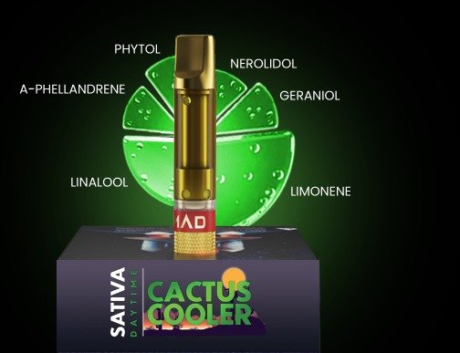 CACTUS COOLER 4